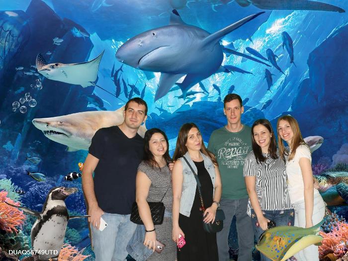 duaq_20170212_64256dc0-053d-408a-bdba-4ff76b59535f